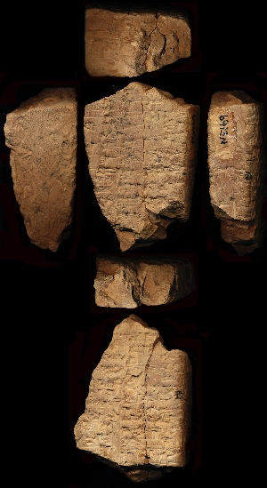 N5169