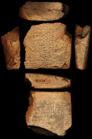 N5175