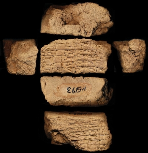 N5193