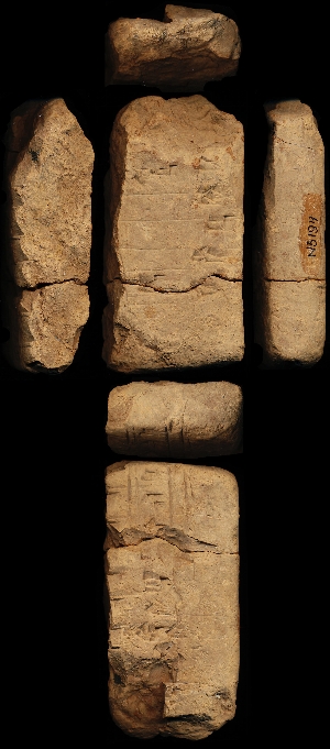 N5194