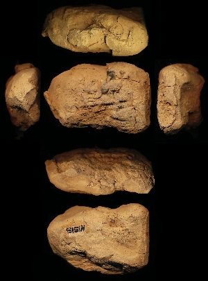 N1515
