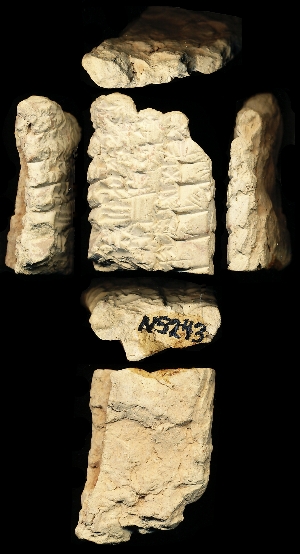 N5243