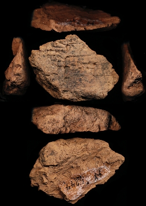 N5244
