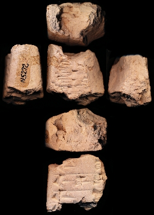 N5272