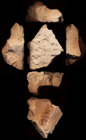 N5297