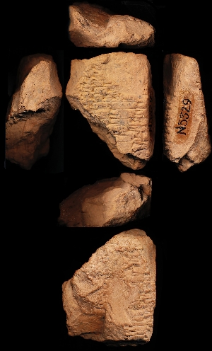 N5329