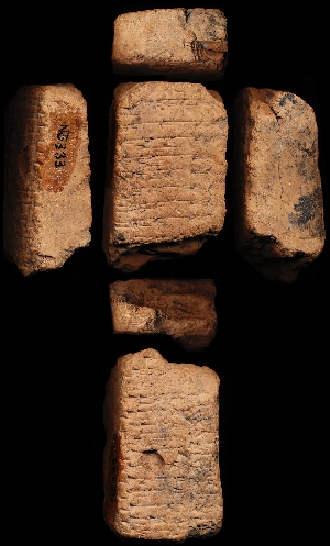 N5333