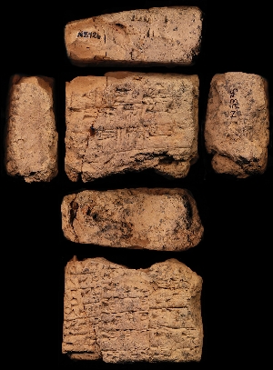 N5335