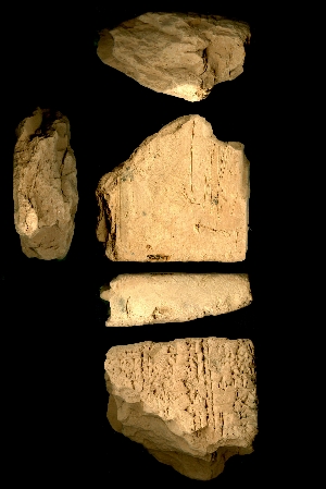 N5347