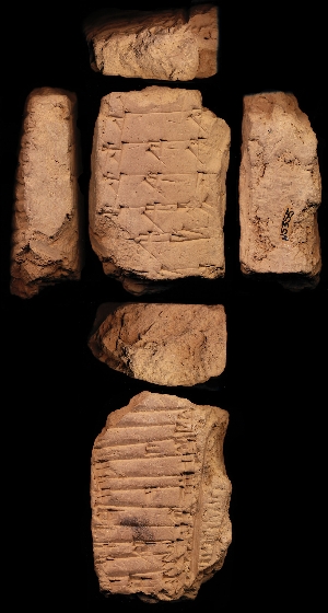 N5355
