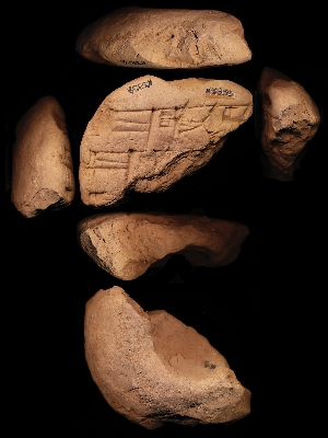 N5358