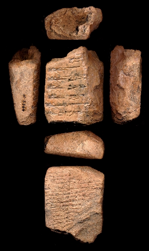 N5366
