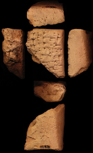 N5370