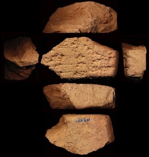 N5384
