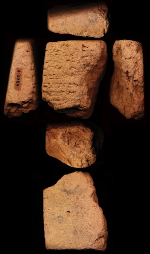 N5389