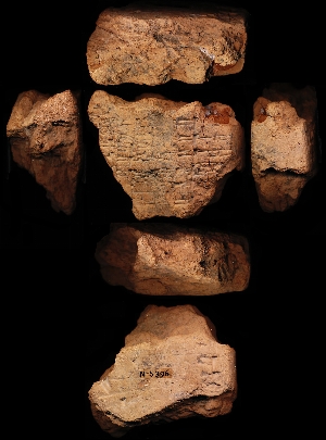 N5396