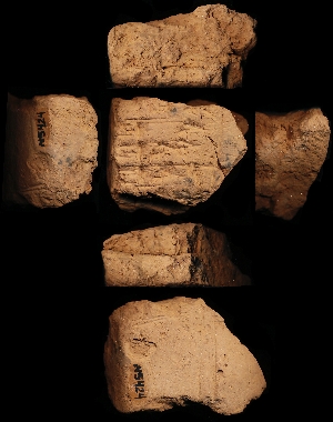 N5424