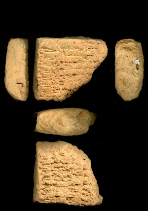 N5443