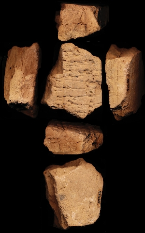 N5523