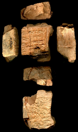 N5543