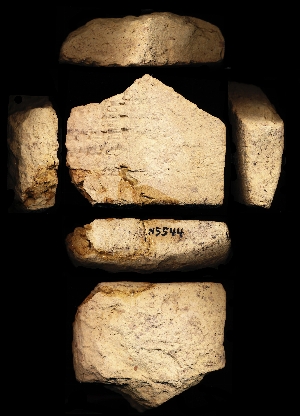 N5544