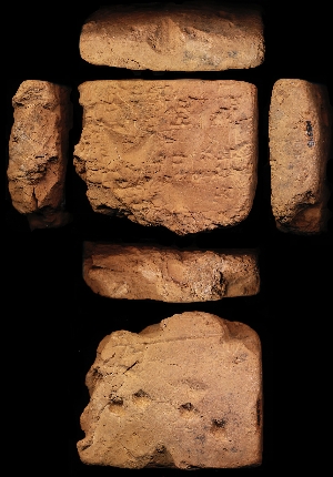 N5545