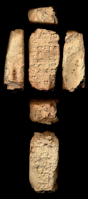 N5553