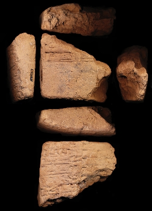 N5557