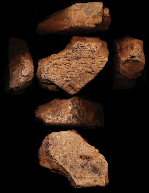 N5564