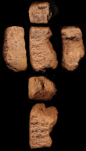 N5591