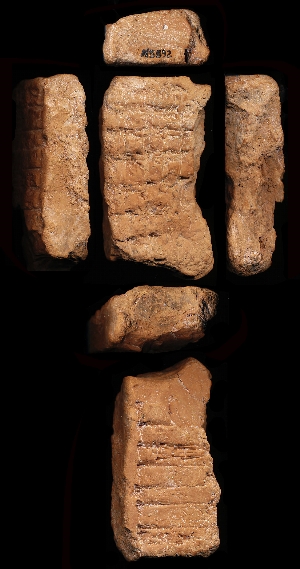 N5592