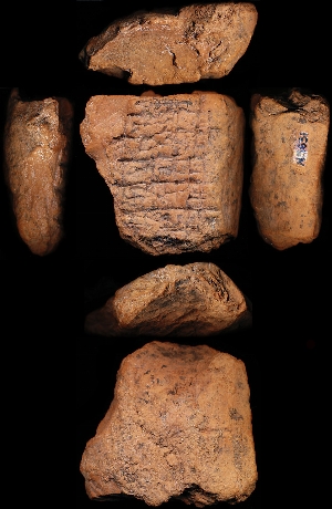 N5631