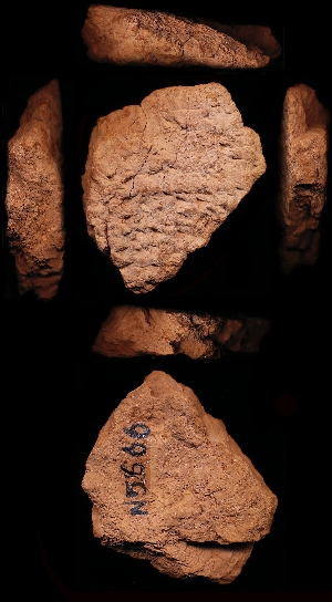 N5666