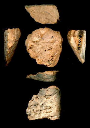N7013