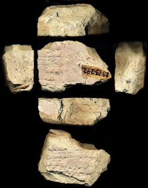 29-13-242