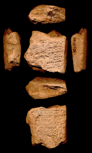 29-13-425