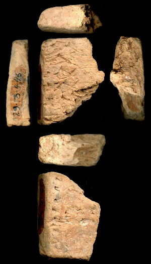 29-13-446