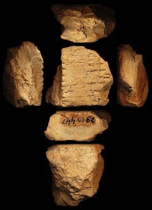 29-13-447