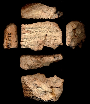 29-13-449