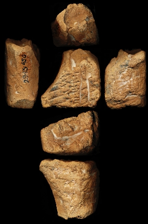 29-13-450