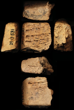 29-13-531