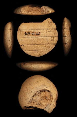 29-13-674
