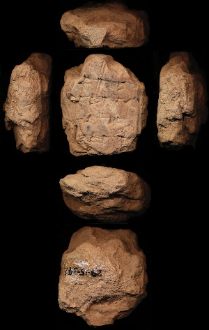 29-15-342
