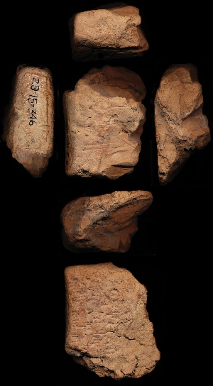 29-15-346