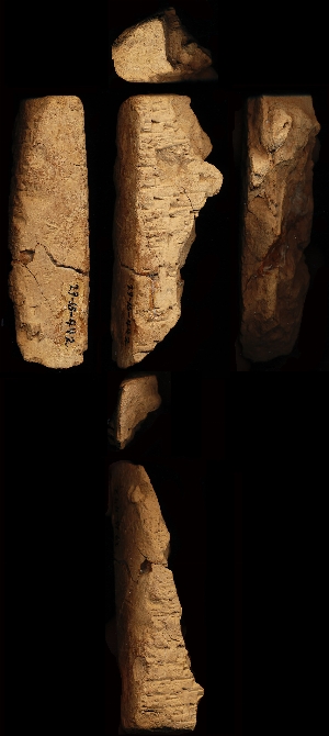 29-15-442