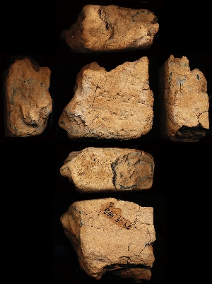 29-15-453