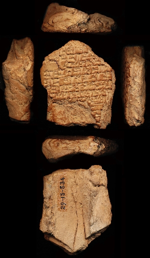 29-15-534