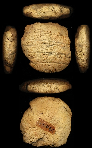 29-15-562