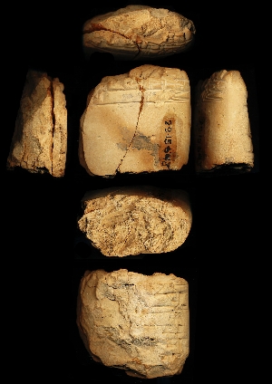 29-15-648