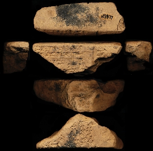 N3977